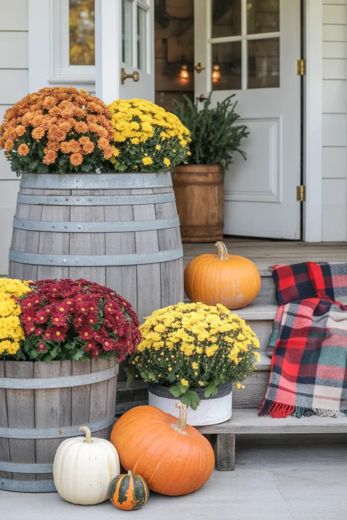 Seasonal Mums in Barrels